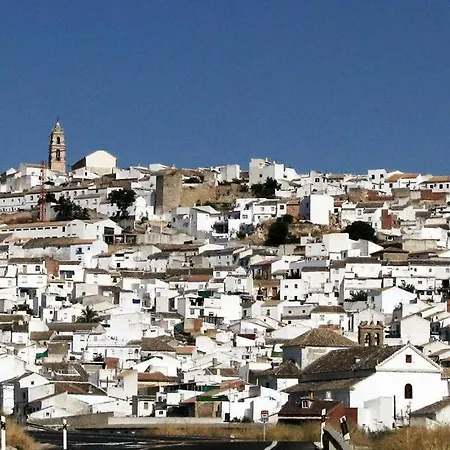 Claveles Pensión Baena